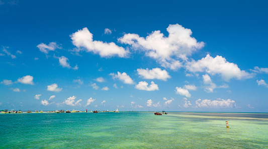 Florida Keys Sandbar Trips – Private Boat Rental vs. Party Boat vs. Guided Tour