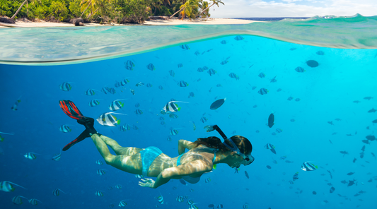Best Snorkeling Spots Near Marathon, FL: Reefs You Can’t Miss