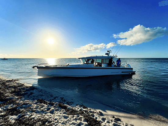 axopar 37 xc cabin on shore