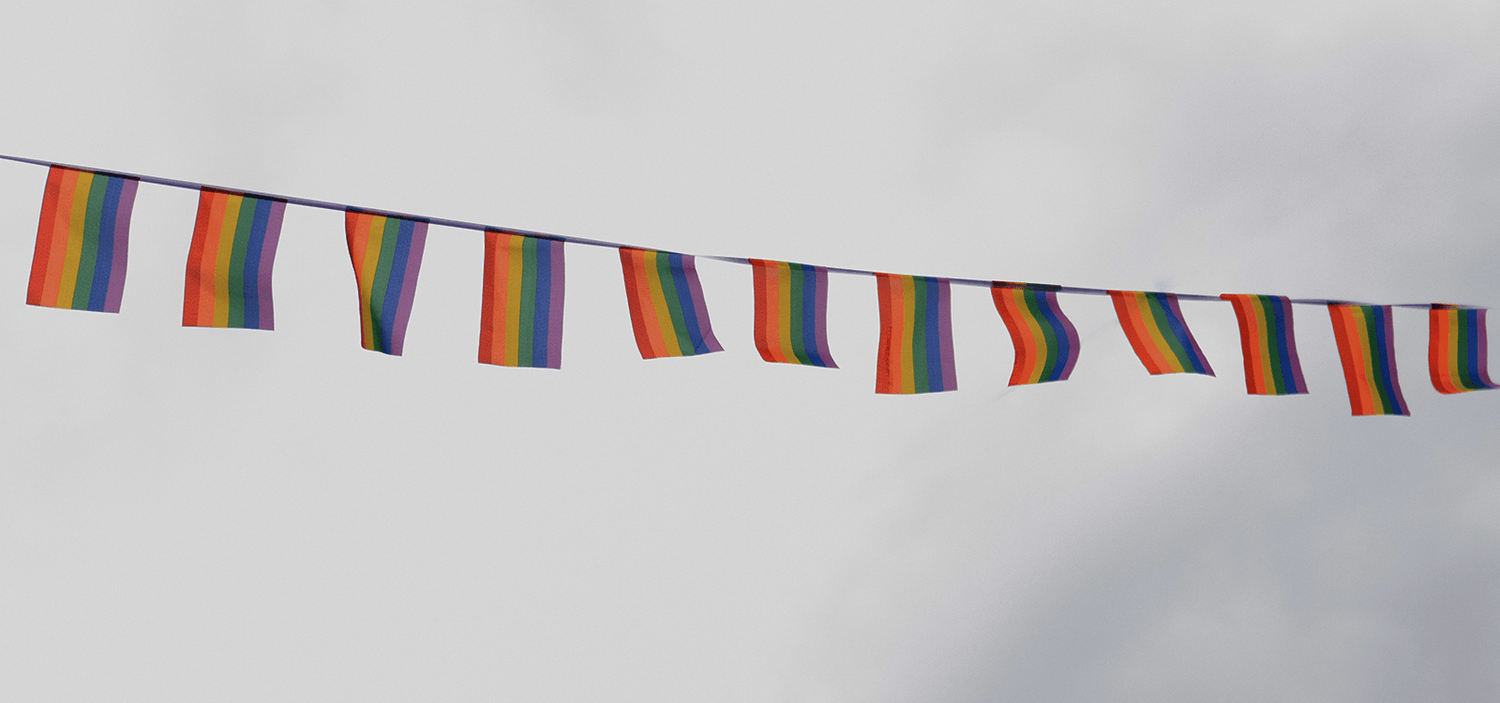 lgbtq flags