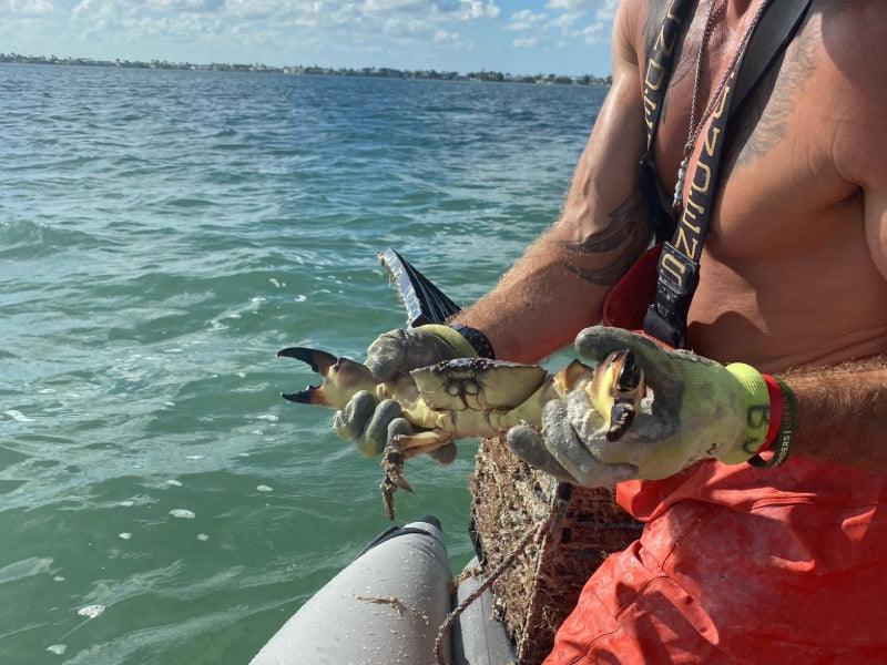 crabbing tour on boat charter fishing