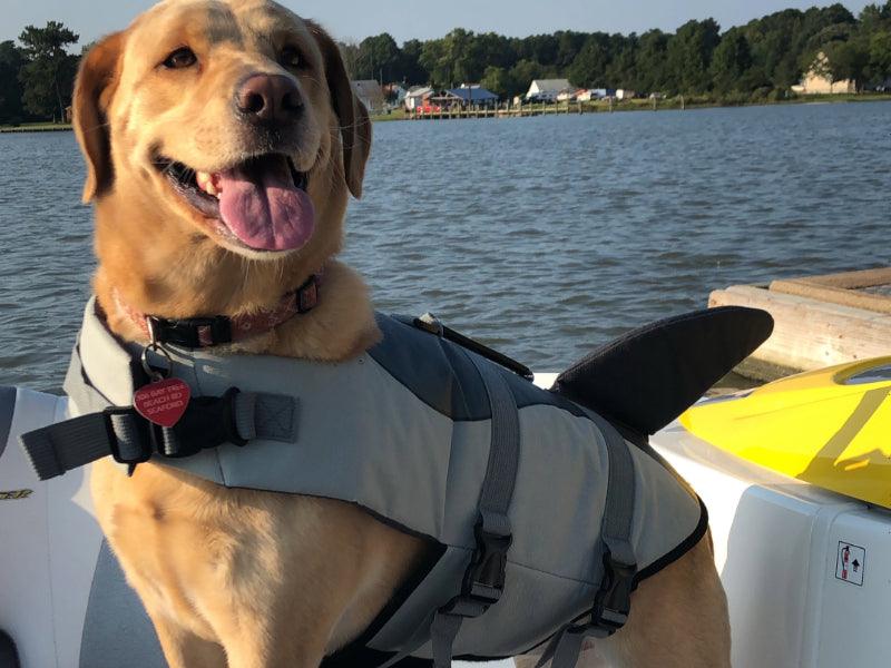 dog friendly on boat charter Key West