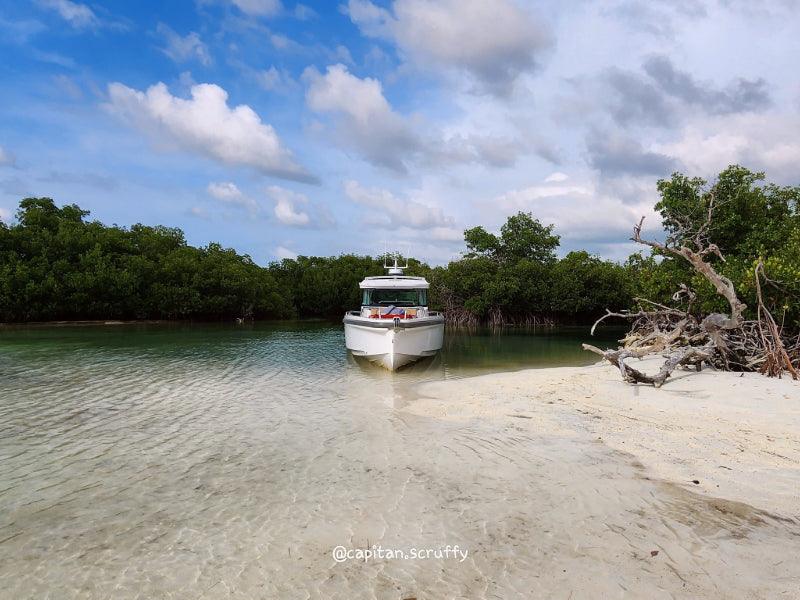 boat charter by sandbar Florida