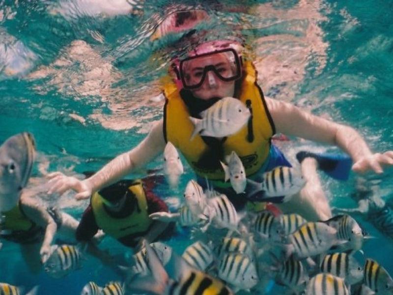 snorkeling tour in Key West