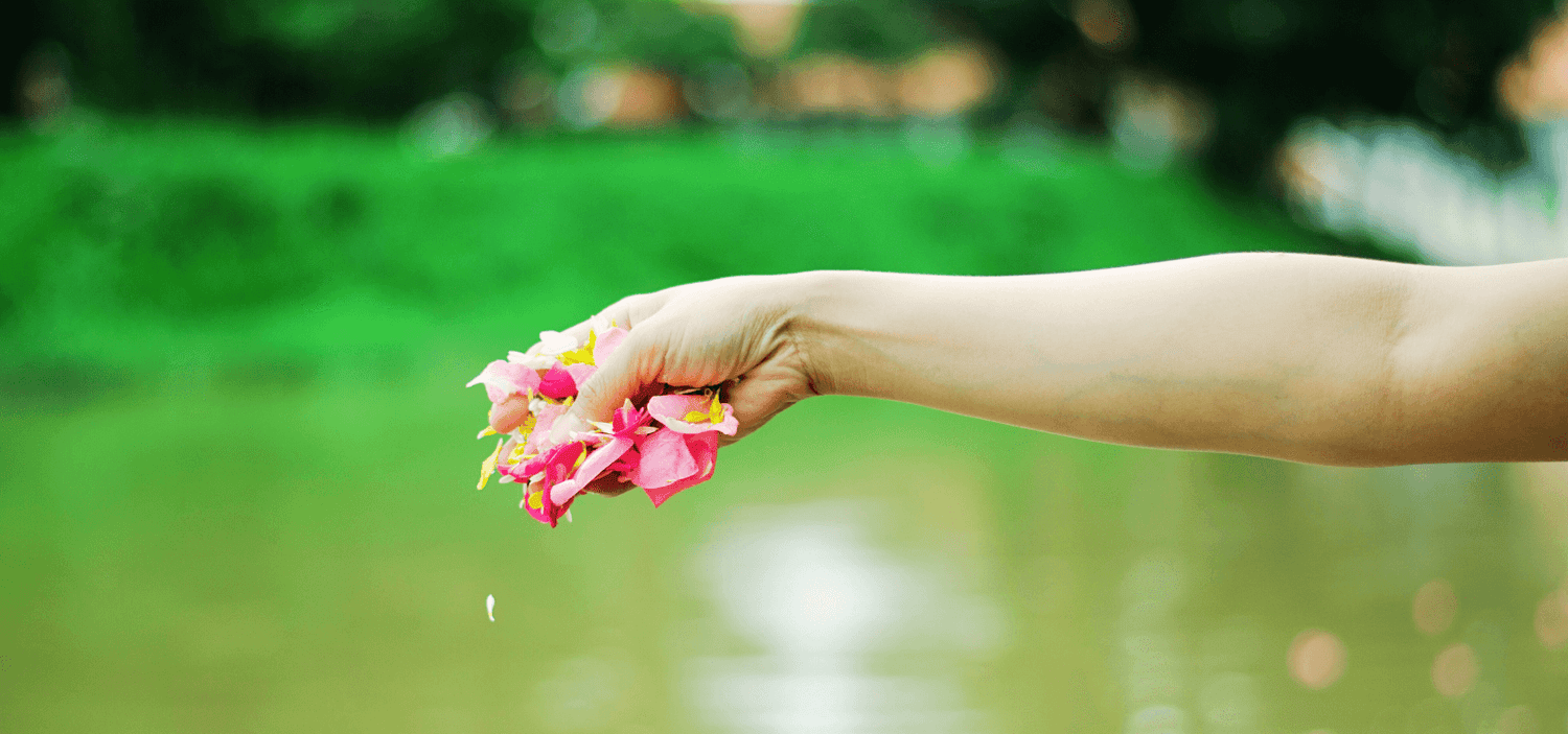 hand holding flower pedals spreading into water