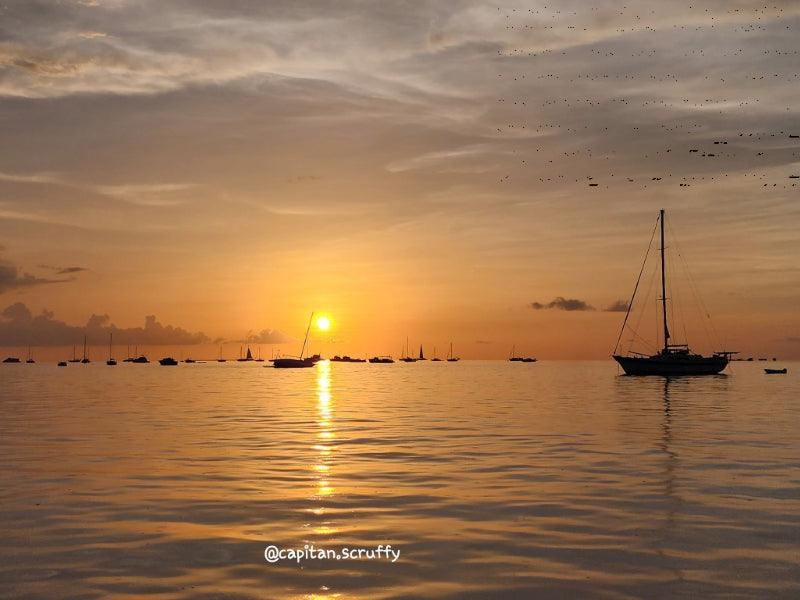 sunset tour boat charter