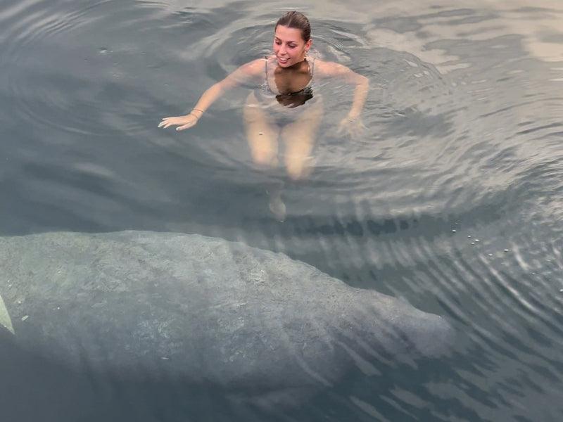 woman swimming with manatee in Key West