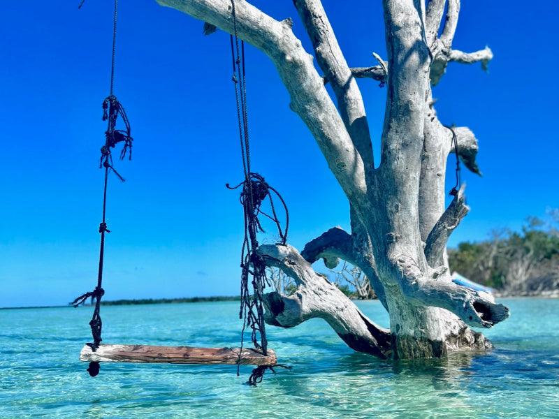 sandbar swing Florida Charters