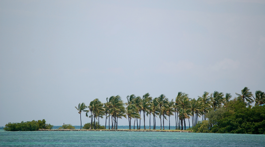 Best Day Trip Itineraries from Islamorada: Fun destinations for a quick getaway, like sandbars, historic landmarks, or scenic cruise routes