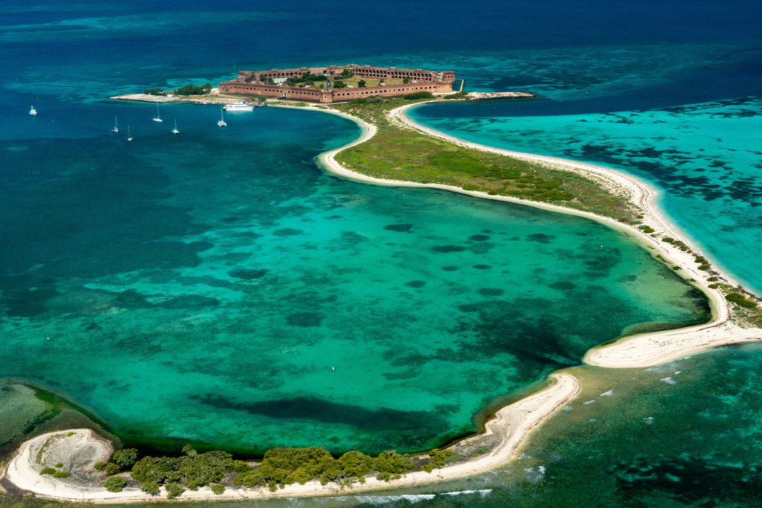 A Deep Dive into the Dry Tortugas: History, Marine Life, and Unforgettable Experiences