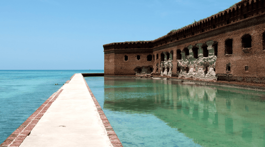 Dry Tortugas National Park Day Trip: A Complete Guide
