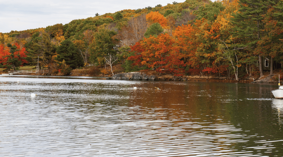 Is Fall Still a Good Time for a Boat Charter? Cooler Weather, Fewer Crowds, and Marine Life