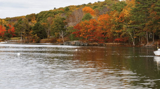 Is Fall Still a Good Time for a Boat Charter? Cooler Weather, Fewer Crowds, and Marine Life