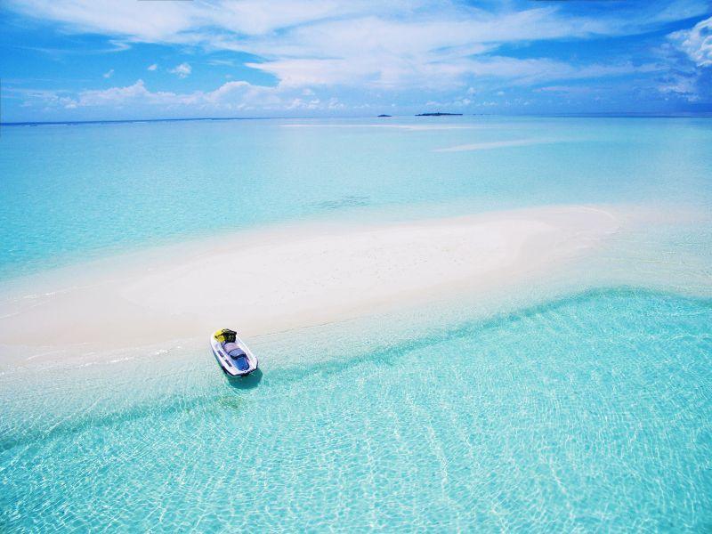 Explore the Islamorada Sandbar with SeaEO: The Perfect Day on the Water