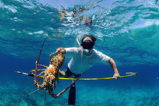 Lobster Fishing and Diving during lobster mini season in Florida Keys