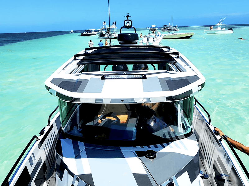 Captain de Jong Charters vs. SeaEO: Comparing Two Unique Charter Experiences