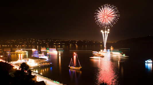 Tampa’s Holiday Lighted Boat Parade: Best Seats Are on the Water