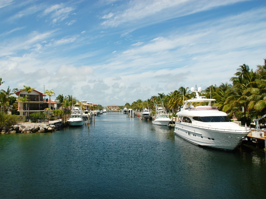 Explore the Top Activities and Excursions in Key Largo