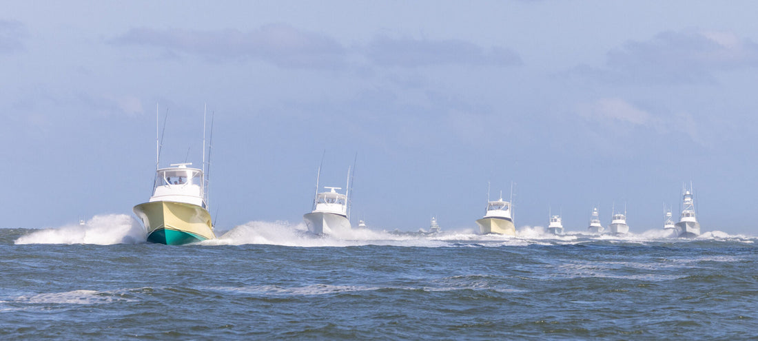 Charleston Billfish Invitational