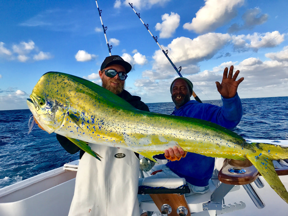 Bimini Offshore Tournament