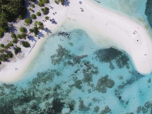 The Top Tampa Sandbars to Visit by Boat