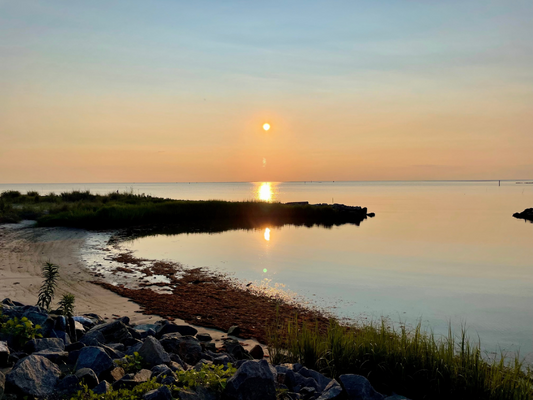 The Ultimate Guide for Visiting Cape Charles by Boat