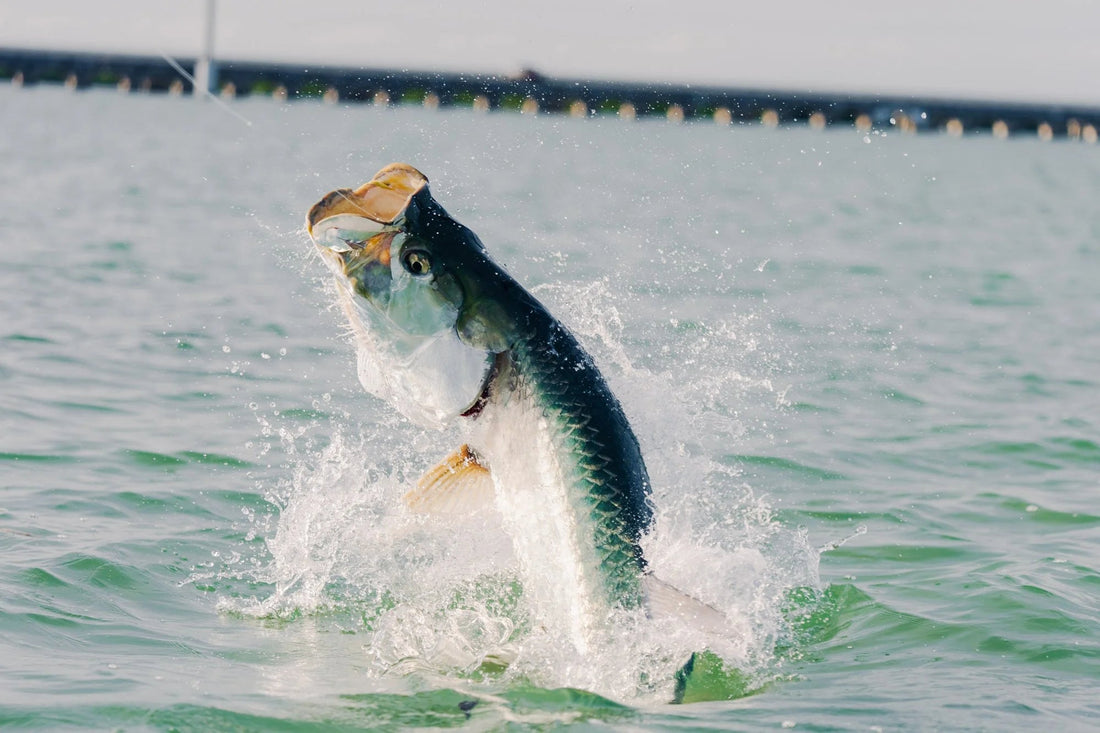 Don Hawley Invitational Tarpon Fly Tournament