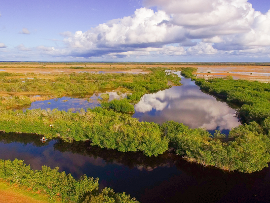 Exploring the Everglades by Boat from Marathon with SeaEO: A Unique Adventure