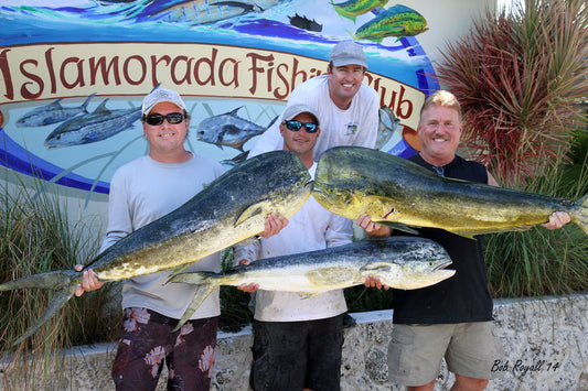 IFC Captains Cup Dolphin Tournament