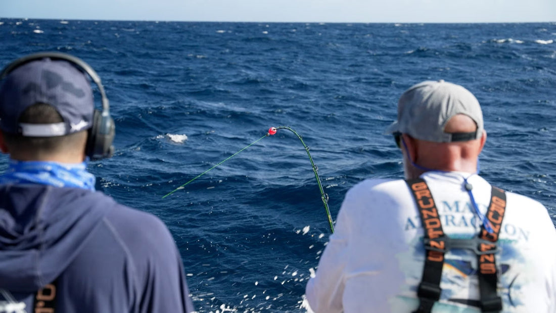 Cheeca Lodge Presidential Sailfish Tournament