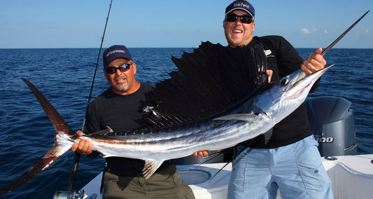 Key West Sailfish Tournament