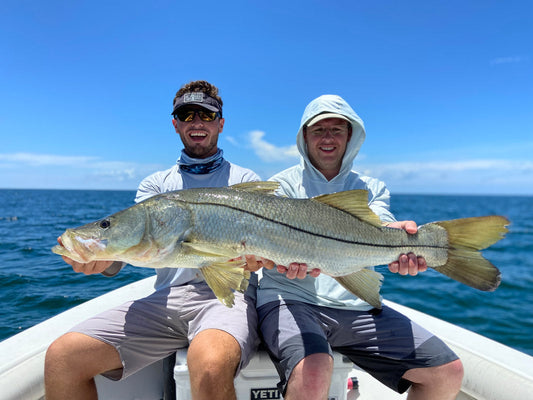 Inshore Offshore Wars