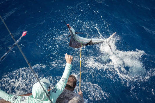 Marathon Premier Sailfish Tournament