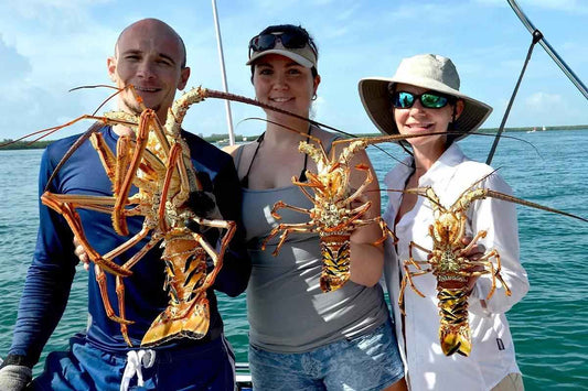 Florida Spiny Lobster Mini Season