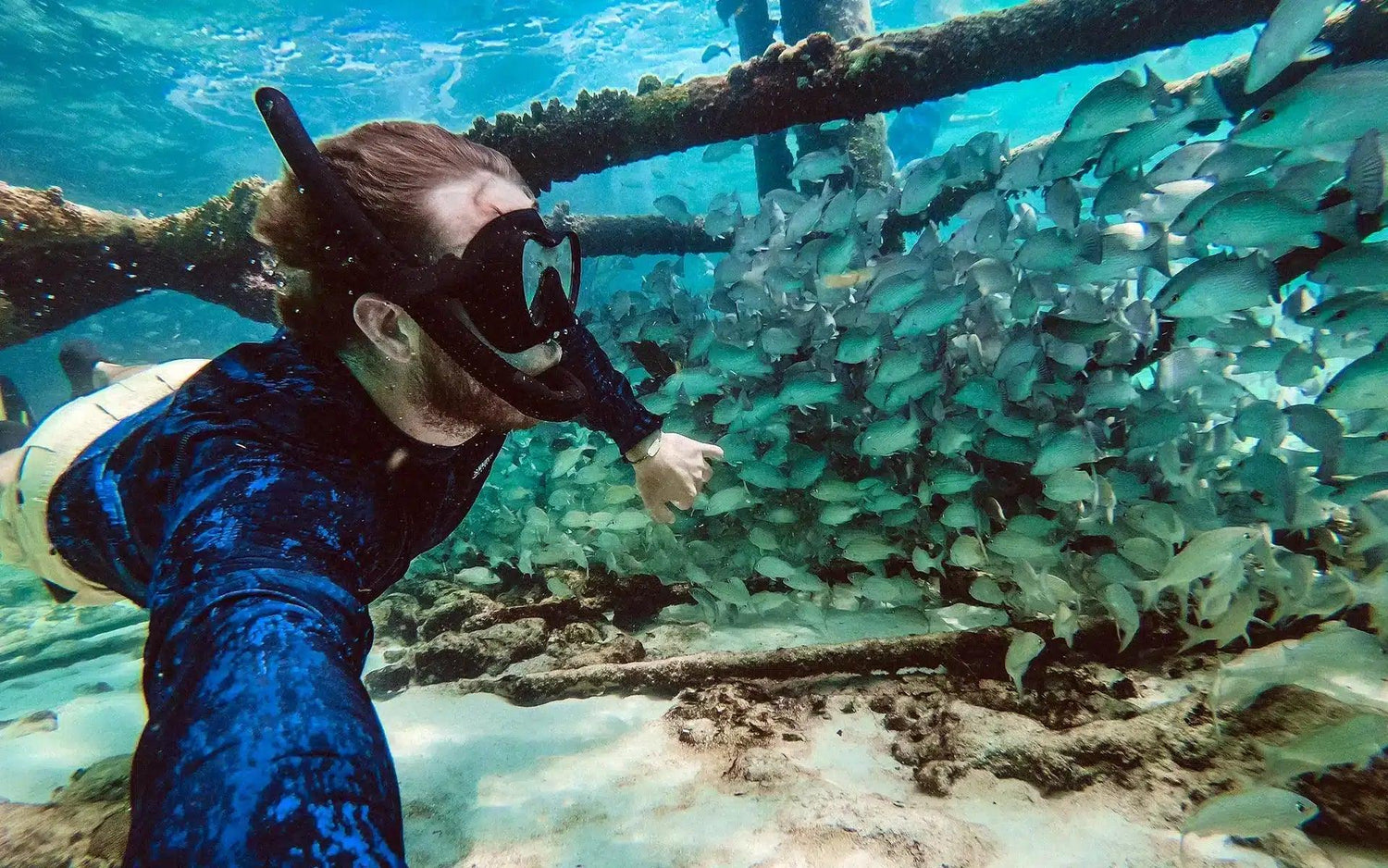 snorkeling near shipwreck boat charter