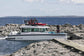 Custom Charter